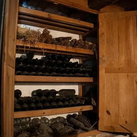 فيلة Caserio Vasco De Categoria *