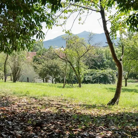 Lutzin Etxea, Caserio Vasco Con Piscina, Jardin Y Parking, A 15 Min De Bilbao *