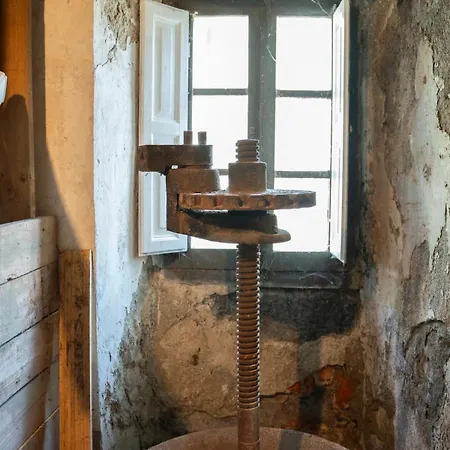 Caserio Vasco De Categoria リョディオ