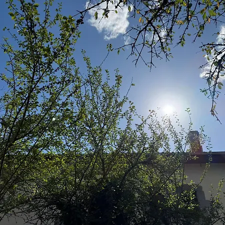 Caserio Vasco Con Jardin Privado, Ideal Familias Y Parking Gratis *