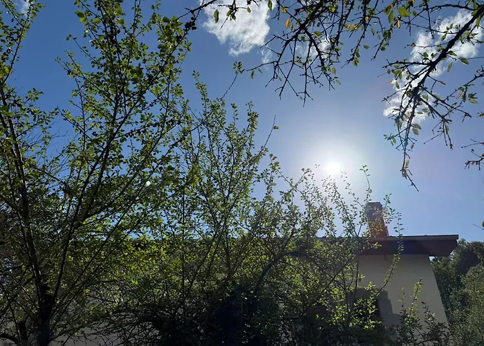 Caserio Vasco De Categoria *